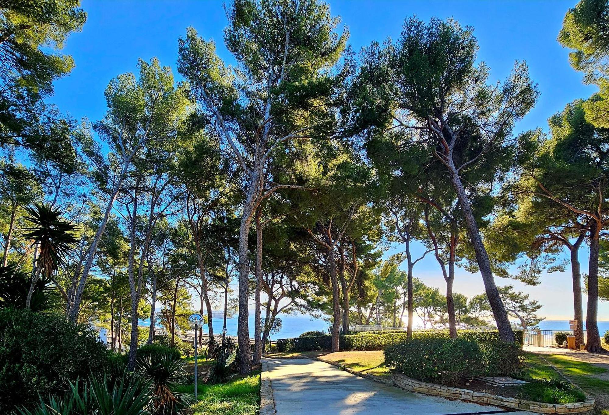 Superbe Appartement Dans Cadre D'Exception - Piscine, Plage Et Tennis Prive Bandol Exterior foto